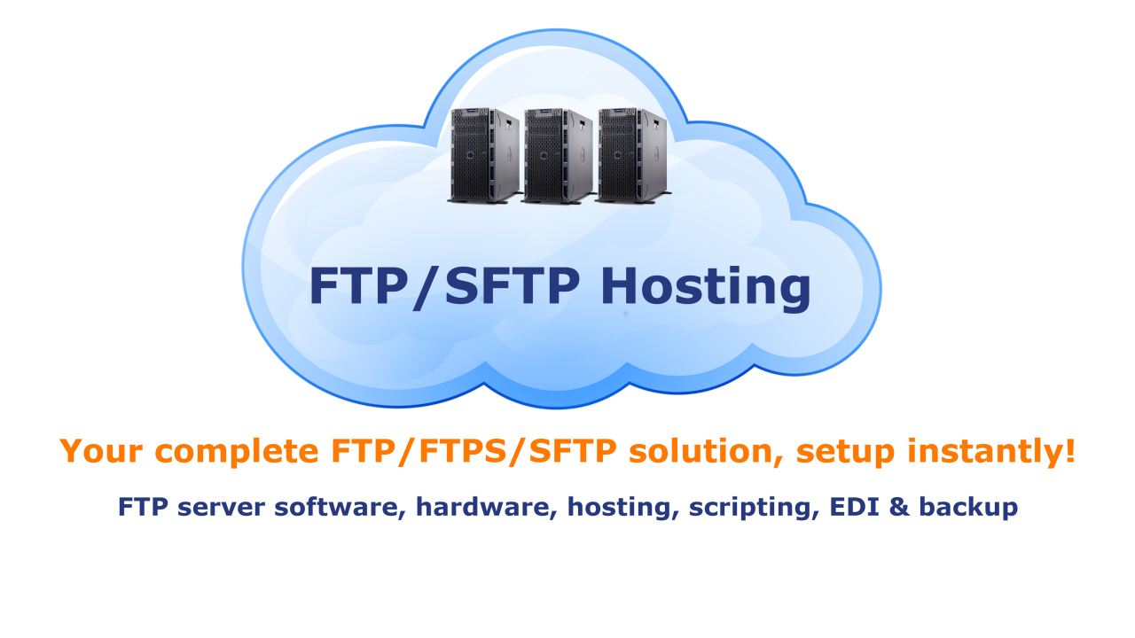 DriveHQ Cloud FTP / SFTP Server Hosting Service